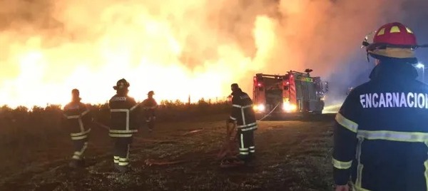 Ola de calor: Bomberos en alerta ante posibles incendios forestales