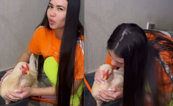 [VIDEO] Laurys Dyva busca nombre para su nueva gallina