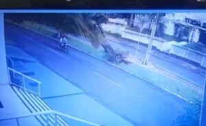 Motociclista salió casi ileso tras caer sobre él un árbol