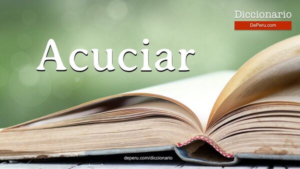 Diario HOY | Acuciar no es sinónimo de agravar, enseña la RAE