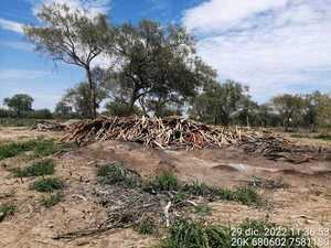 Diario HOY | Denuncian criminal deforestación e invasión en tierras del IPS en el Chaco