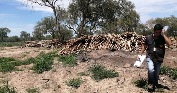 La Nación / Chaco: Fiscalía intervino propiedad por masiva deforestación e invasión de inmueble