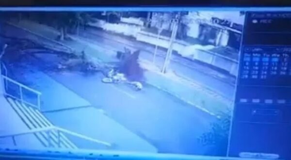 Video: se salvó de milagro tras caerle encima un frondoso árbol - ABC en el Este - ABC Color