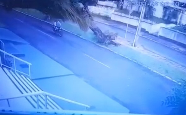 ¡Se salvó de milagro! motociclista sufre lesiones tras caerle un árbol encima - Unicanal