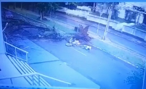 (VIDEO) Árbol deja machucado a un motociclista en el Este