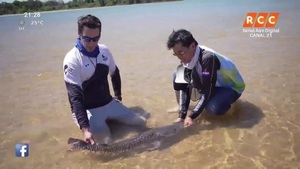 PESCANDO PARAGUAY