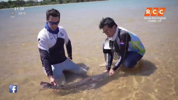 PESCANDO PARAGUAY