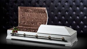 Fúnebre negocio desnuda la sempiterna informalidad
