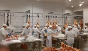 Por descuidos del gobierno Paraguay cae en el top de exportación de carnes - trece