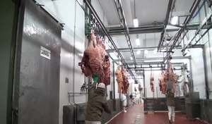 Paraguay desciende en top de principales exportadores de carne - Unicanal