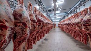 Dos empresas concentran el 60% de las exportaciones de carne de Paraguay | Análisis Macro | 5Días