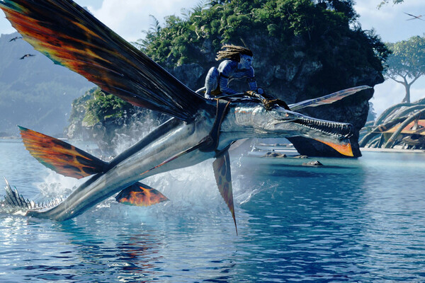 Más de 65 mil personas ya vieron “Avatar: The Way of Water” a nivel nacional | Cultura y Espectáculos | 5Días