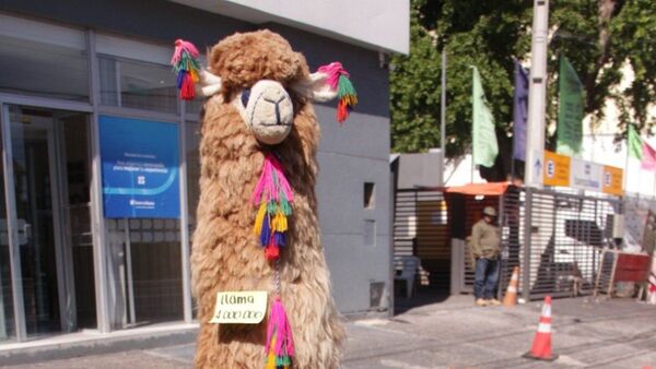 Hasta una llama hay para los Reyes Magos en el Mercado 4