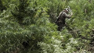 Analista dice que a narcopolítica secuestró los departamentos del interior del país - Noticias Paraguay