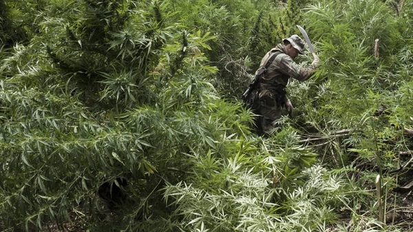 "Narcopolítica secuestró los departamentos del país", dice analista - Noticias Paraguay