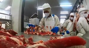 Paraguay sería desplazado por México del ranking de los 10 mayores exportadores de carne - Nacionales - ABC Color