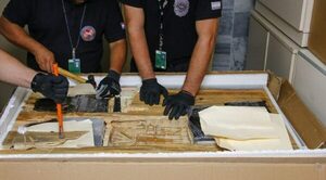 Detectan cargamento de droga ingresada al país procedente de EEUU