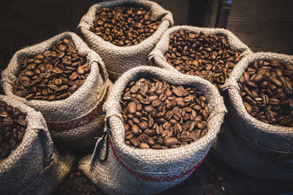 La producción de café en Colombia cayó un 12% en 2022 por lluvias - Revista PLUS
