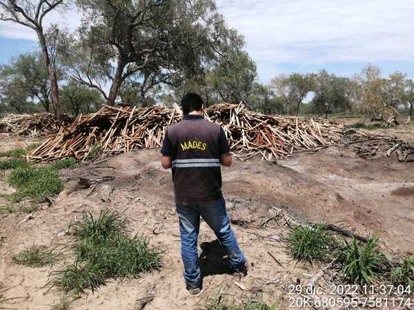 Diario HOY | Criminal deforestación: confirman desmonte sin autorización del MADES