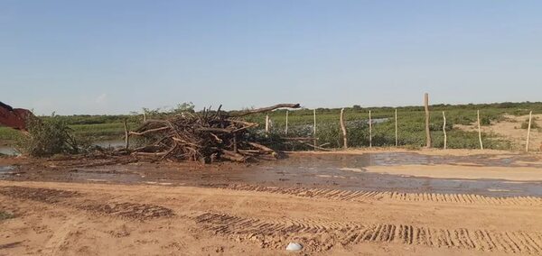 Leve repunte del río Pilcomayo tras algunas lluvias registradas en Bolivia - Economía - ABC Color
