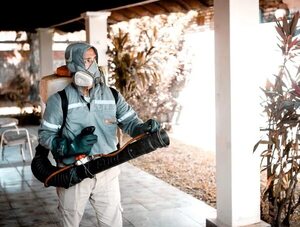 ¡Todos contra el Aedes aegypti! - Empresariales - ABC Color