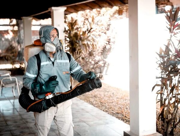 ¡Todos contra el Aedes aegypti! - Empresariales - ABC Color