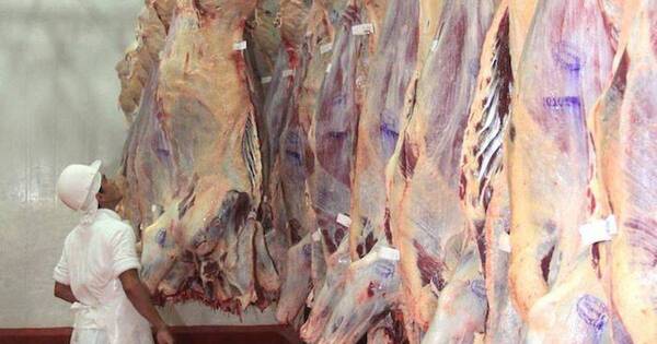 La Nación / Paraguay desciende del top 10 de mayores exportadores de carne