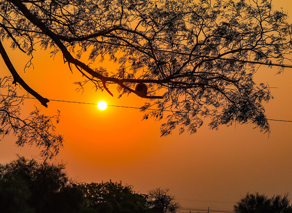 Clima caluroso y baja probabilidad de lluvias en todo el país para este viernes - .::Agencia IP::.