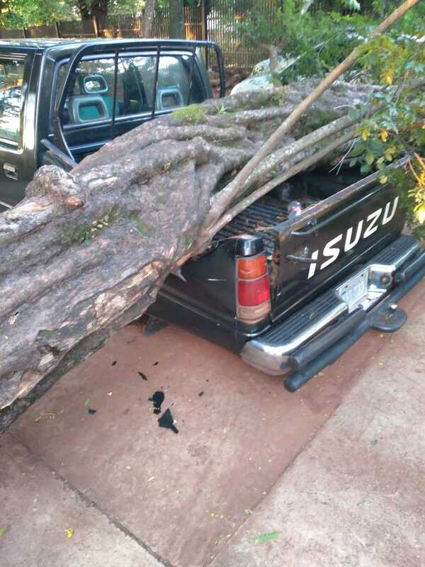Ho’a feroz yvyramata y aplasta a dos vehículos en el estacionamiento del IPS - La Clave