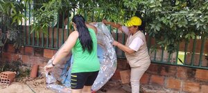 El chikungunya sigue “ganando” al dengue en cantidad de afectados - ADN Digital