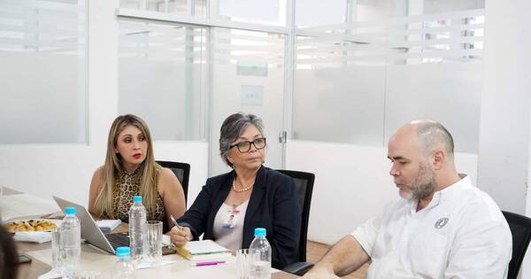 La Nación / Brindarán curso de legislación electoral