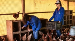 Escuelas Agrícolas Autosostenibles de la Fundación Paraguaya convocan a inscripciones
