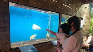 Crean el primer acuario turístico del Paraguay