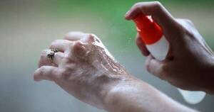 La Nación / Recomiendan uso de repelente como barrera de protección para evitar picaduras de mosquitos