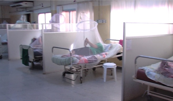 Preocupa aumento de chikungunya y la automedicación de los ciudadanos - trece
