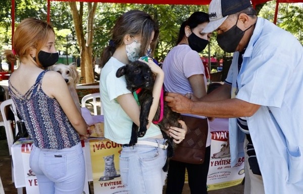Verano Sano: una propuesta diferente para jóvenes en búsqueda de su propósito | Turismo | 5Días
