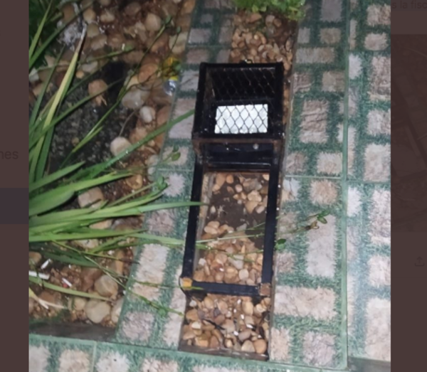 Diario HOY | Detienen a adictos que destrozaron un parque en Guairá