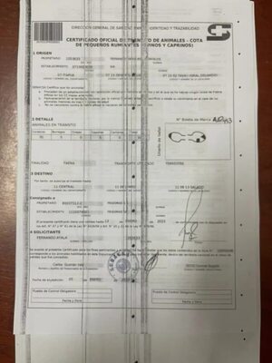 Senacsa emite por primera vez una “guía para pequeños rumiantes” - Economía - ABC Color