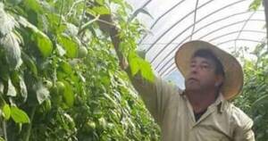 La Nación / Alto Paraná: ferias de hortigranjeros con buen final de año, gracias a mejor producción