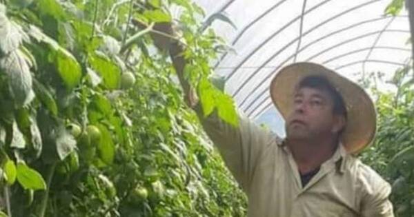 La Nación / Alto Paraná: ferias de hortigranjeros con buen final de año, gracias a mejor producción