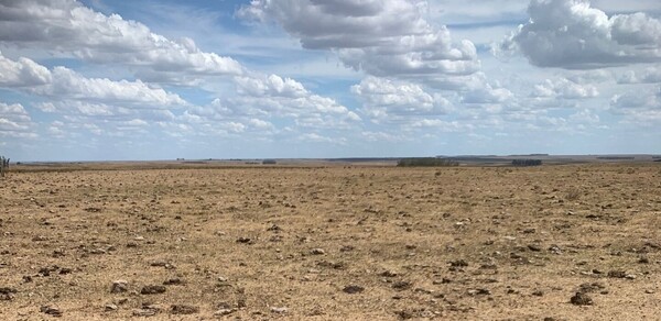 Gobierno uruguayo propone seguros agropecuarias ante déficit hídrico