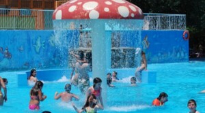 Diario HOY | Los mitos y leyendas sobre el oído en verano