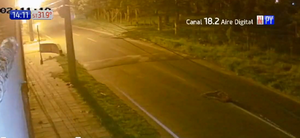 Asaltantes hieren de gravedad a una joven - Noticias Paraguay