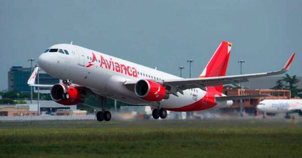 La Nación / Hallan dos polizones muertos en vuelo entre Chile y Colombia
