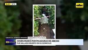 Joven murió por picaduras de abejas - ABC Noticias - ABC Color