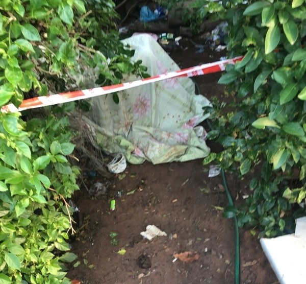 Joven fallece por picaduras de avispas - Unicanal