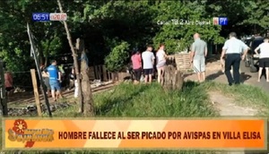 Joven muere por ataque de avispas en Villa Elisa - Paraguaype.com