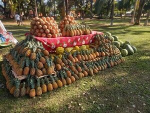 La “Expo Piña”, una tradición que identifica a Valenzuela - Nacionales - ABC Color