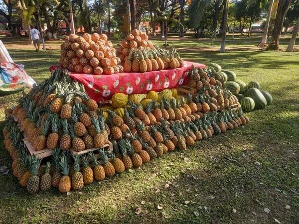 La “Expo Piña”, una tradición que identifica a Valenzuela - Nacionales - ABC Color