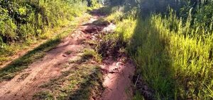 Productores piden la reparación de caminos vecinales que se encuentran en pésimas condiciones - Nacionales - ABC Color